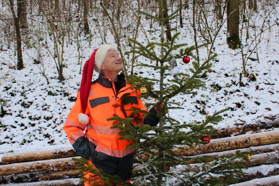 Mann mit Christbaum in der Hand